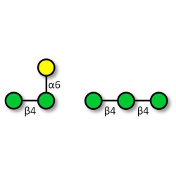 α-galactosyl Mannobiose & Mannotriose