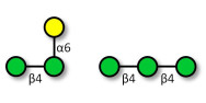 α-galactosyl Mannobiose &...