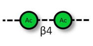 Acemannan polysaccharide...