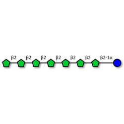 Fructo-oligosaccharide DP8 / GF7 (>95% HPAEC-PAD)