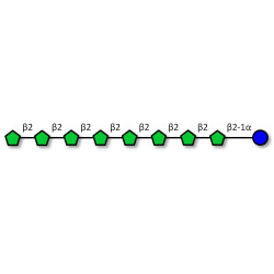 Fructo-oligosaccharide DP9 / GF8 (>95% HPAEC-PAD)