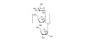 Fructo-oligosaccharide DP9 / GF8 (>95% HPAEC-PAD) - Fructononasaccharide