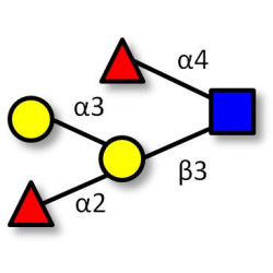 Blood group B Lewis b antigen pentaose type 1 (>85% NMR)