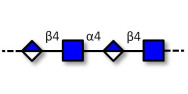 Heparosan K5 polysaccharide