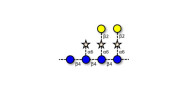 Xyloglucan polysaccharide...