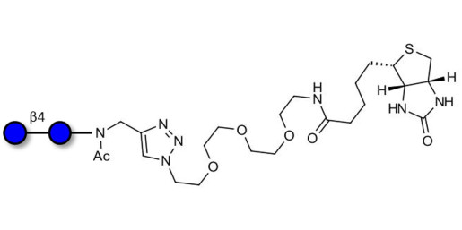 Cellobiose linked to biotin (Linker-BT A)