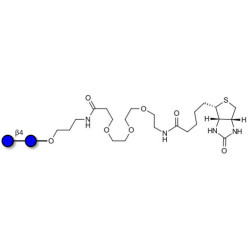 Cellobiose linked to biotin (Linker-BT C)
