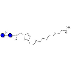Cellobiose grafted on gel for affinity chromatography (Linker-GEL A)