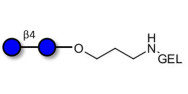 Cellobiose grafted on gel...