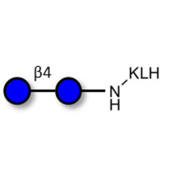 Cellobiose grafted on KLH