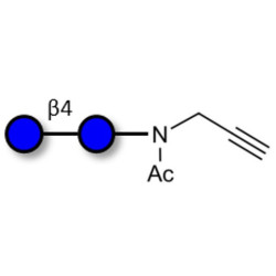 Cellobiose with terminal alkyne (Linker-CΞCH A)