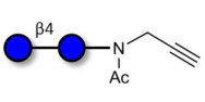Cellobiose with terminal...