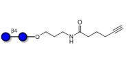 Cellobiose with terminal...