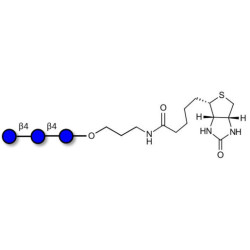 Cellotriose linked to biotin (Linker-BT B)