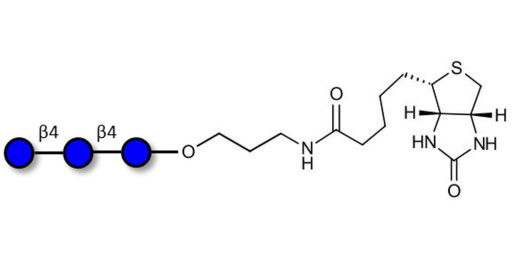 Cellotriose linked to biotin (Linker-BT B)