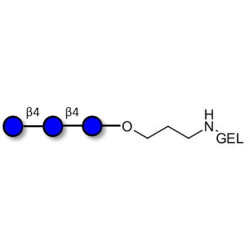 Cellotriose grafted on gel for affinity chromatography (Linker-GEL B)