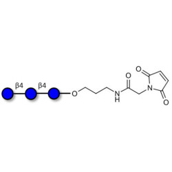 Cellotriose linked to maleimide (Linker-MAL A)