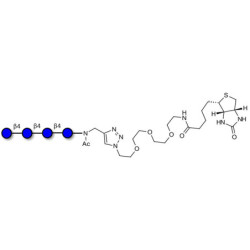 Cellotetraose linked to biotin (Linker-BT A)