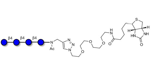 Cellotetraose linked to biotin (Linker-BT A)