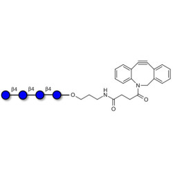 Cellotetraose with DBCO (Linker-DBCO A)