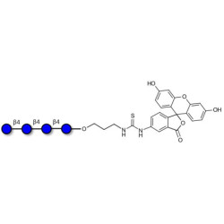 Cellotetraose linked to fluorescein (Linker-FLUO A)