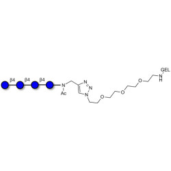 Cellotetraose grafted on gel for affinity chromatography (Linker-GEL A)