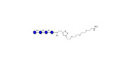 Cellotetraose grafted on...