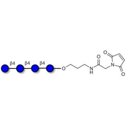 Cellotetraose linked to maleimide (Linker-MAL A)