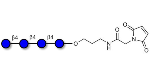 Cellotetraose linked to maleimide (Linker-MAL A)