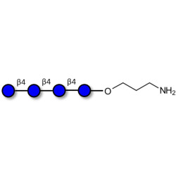 Cellotetraose with free terminal amine (Linker-NH2 A)