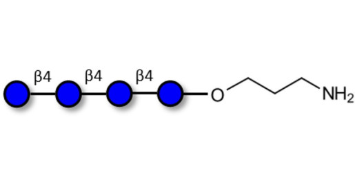 Cellotetraose with free terminal amine (Linker-NH2 A)
