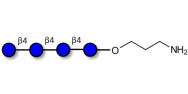 Cellotetraose with free...