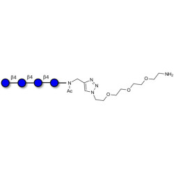 Cellotetraose with free terminal amine (Linker-NH2 B)