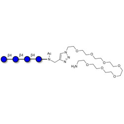 Cellotetraose with free terminal amine (Linker-NH2 C)