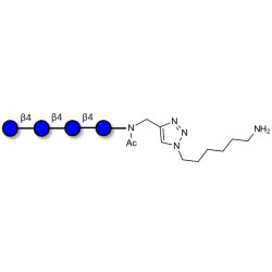 Cellotetraose with free terminal amine (Linker-NH2 D)