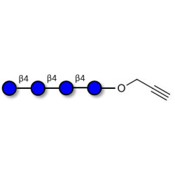 Cellotetraose with terminal alkyne (Linker-CΞCH B)