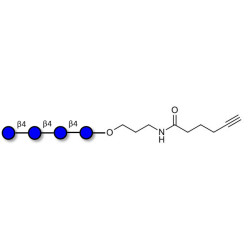 Cellotetraose with terminal alkyne (Linker-CΞCH C)