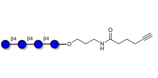 Cellotetraose with terminal alkyne (Linker-CΞCH C)