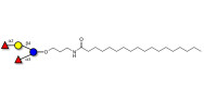 Difucosyllactose (DFL) /...