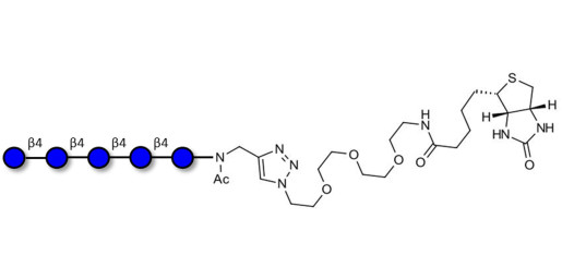 Cellopentaose linked to biotin (Linker-BT A)