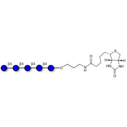 Cellopentaose linked to biotin (Linker-BT B)