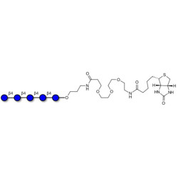 Cellopentaose linked to biotin (Linker-BT C)