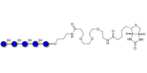 Cellopentaose linked to biotin (Linker-BT C)