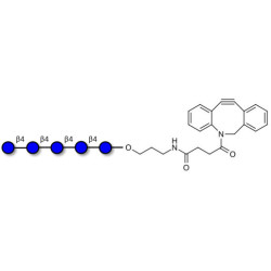 Cellopentaose with DBCO (Linker-DBCO A)