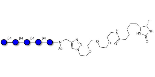 Cellopentaose linked to desthiobiotin (Linker-DBT-A)