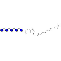 Cellopentaose grafted on gel for affinity chromatography (Linker-GEL A)