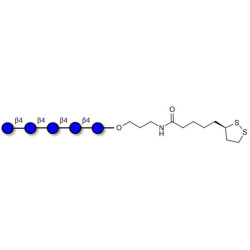 Cellopentaose with cyclic di-thiol (Linker-LIPO A)