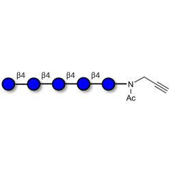 Cellopentaose with terminal alkyne (Linker-CΞCH A)