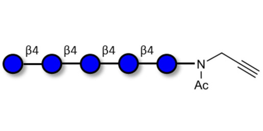 Cellopentaose with terminal alkyne (Linker-CΞCH A)