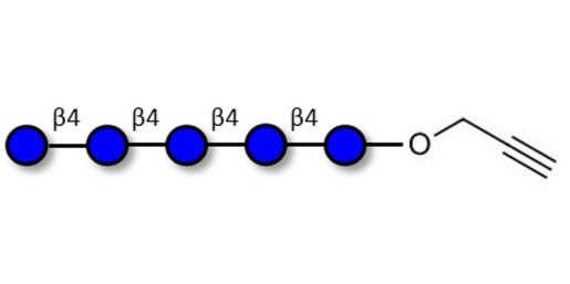 Cellopentaose with terminal alkyne (Linker-CΞCH B)